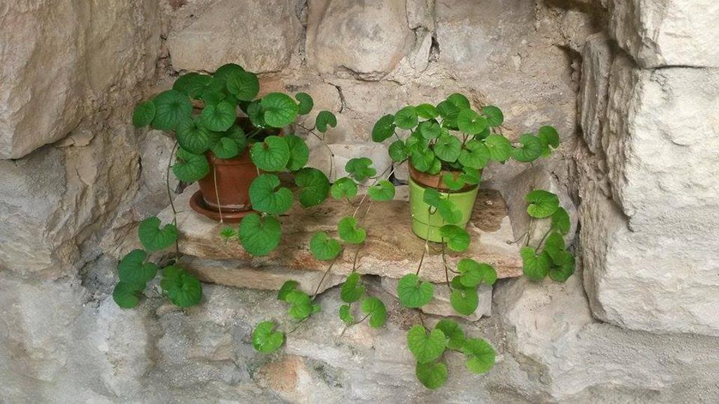 Dobra Apartments Trogir Bagian luar foto